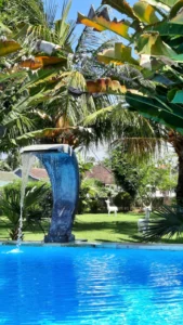 Edicha Bali 3
