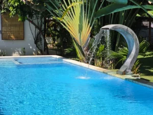 Edicha Bali 7